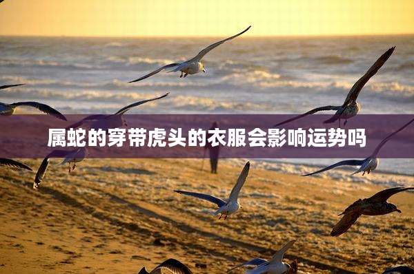 属蛇的穿带虎头的衣服会影响运势吗