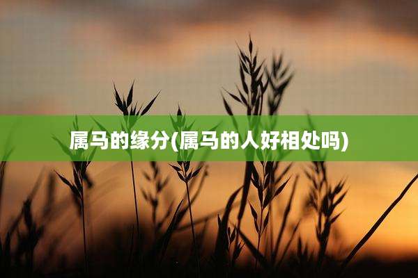 属马的缘分(属马的人好相处吗)