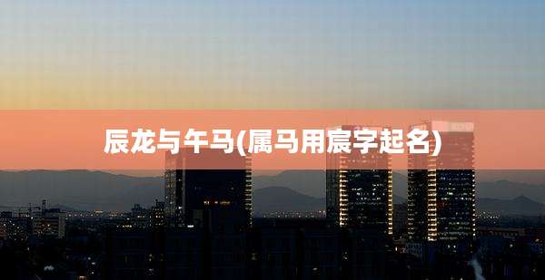 辰龙与午马(属马用宸字起名)