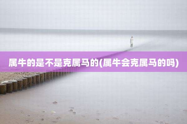 属牛的是不是克属马的(属牛会克属马的吗)