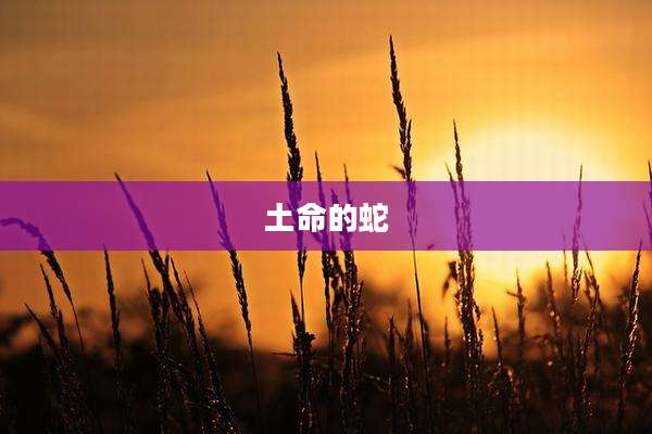 土命的蛇