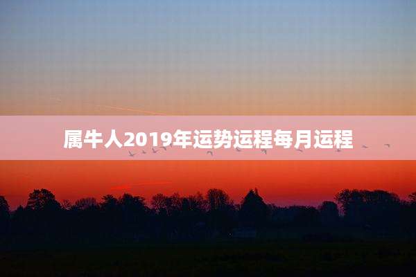 属牛人2019年运势运程每月运程