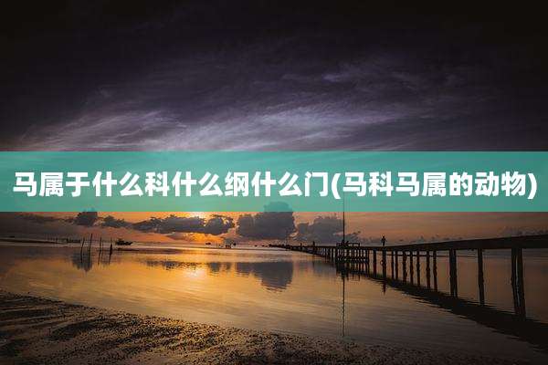 马属于什么科什么纲什么门(马科马属的动物)