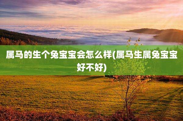 属马的生个兔宝宝会怎么样(属马生属兔宝宝好不好)