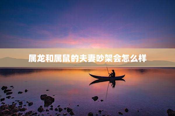 属龙和属鼠的夫妻吵架会怎么样