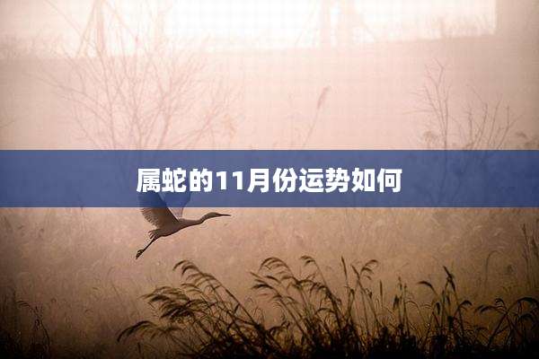 属蛇的11月份运势如何