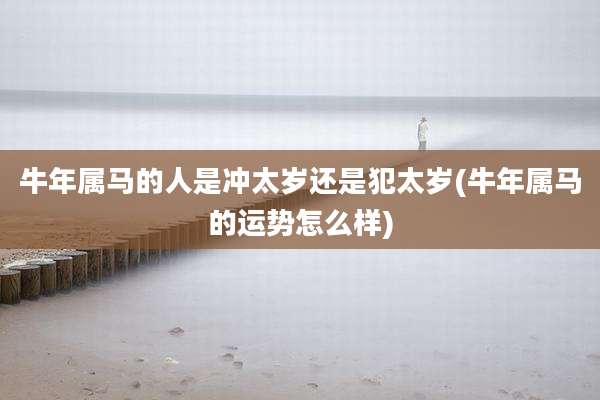 牛年属马的人是冲太岁还是犯太岁(牛年属马的运势怎么样)