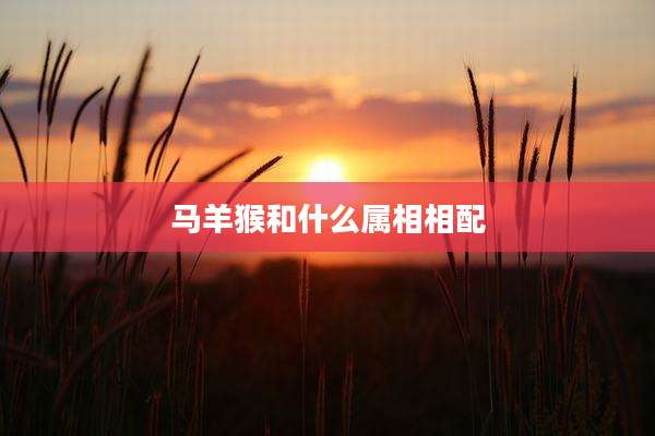 马羊猴和什么属相相配