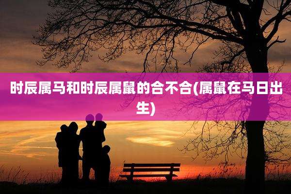 时辰属马和时辰属鼠的合不合(属鼠在马日出生)
