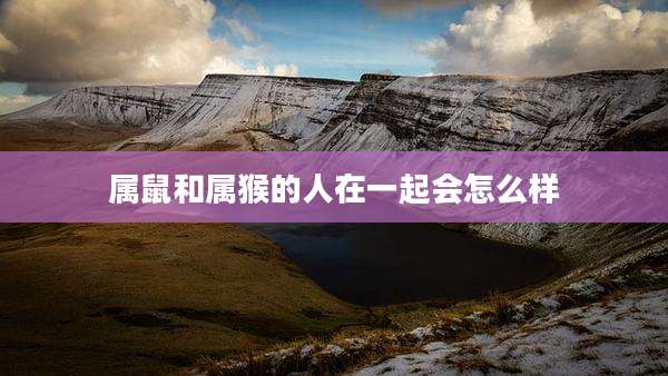 属鼠和属猴的人在一起会怎么样