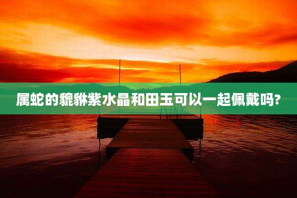 属蛇的貔貅紫水晶和田玉可以一起佩戴吗?