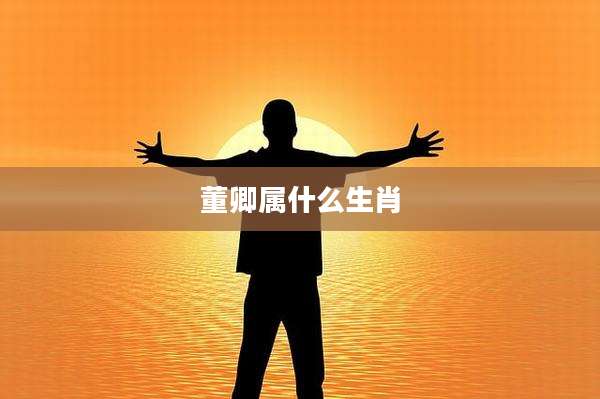 董卿属什么生肖