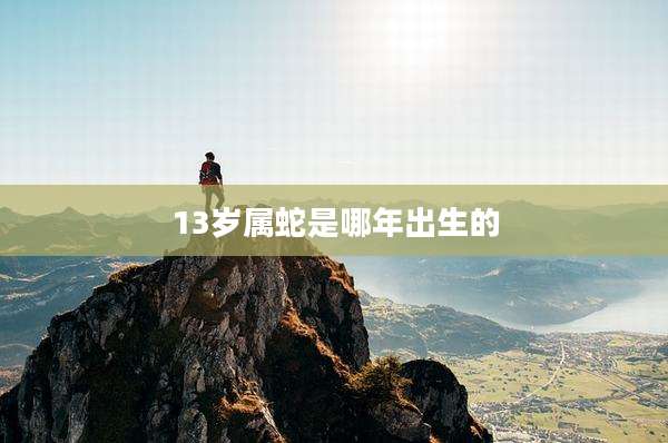 13岁属蛇是哪年出生的