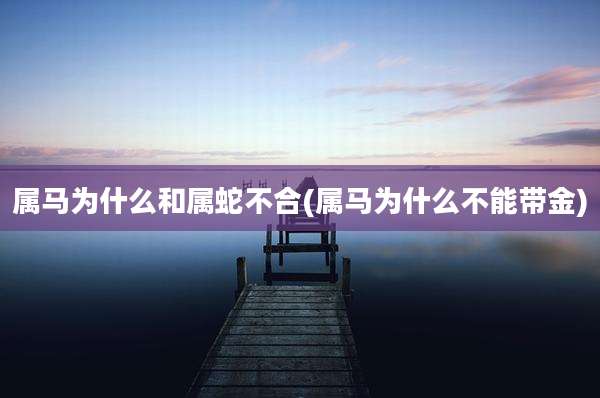 属马为什么和属蛇不合(属马为什么不能带金)