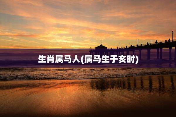 生肖属马人(属马生于亥时)