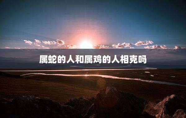 属蛇的人和属鸡的人相克吗