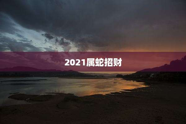 2021属蛇招财