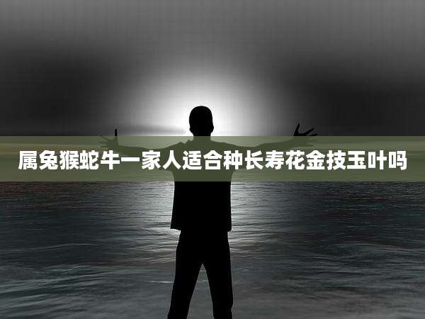 属兔猴蛇牛一家人适合种长寿花金技玉叶吗