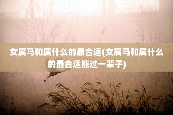 女属马和属什么的最合适(女属马和属什么的最合适能过一辈子)