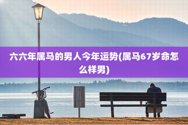 六六年属马的男人今年运势(属马67岁命怎么样男)
