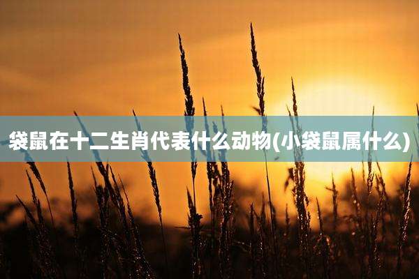 袋鼠在十二生肖代表什么动物(小袋鼠属什么)