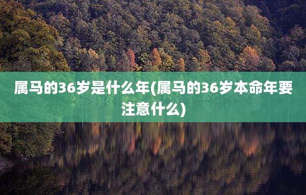 属马的36岁是什么年(属马的36岁本命年要注意什么)