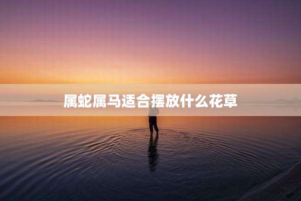 属蛇属马适合摆放什么花草