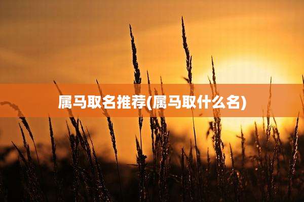 属马取名推荐(属马取什么名)