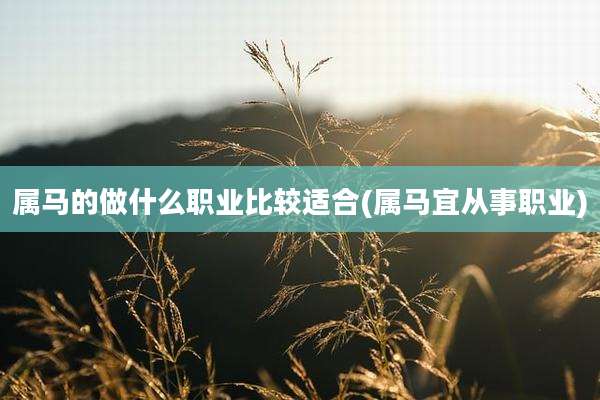 属马的做什么职业比较适合(属马宜从事职业)