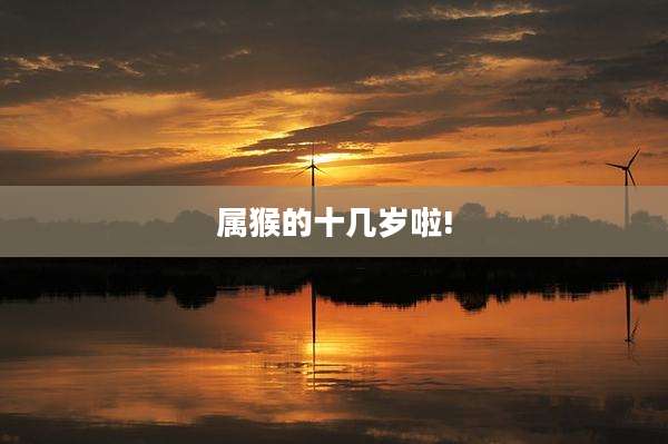 属猴的十几岁啦!