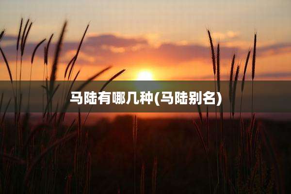 马陆有哪几种(马陆别名)