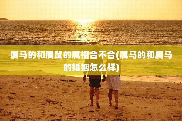 属马的和属鼠的属相合不合(属马的和属马的婚姻怎么样)