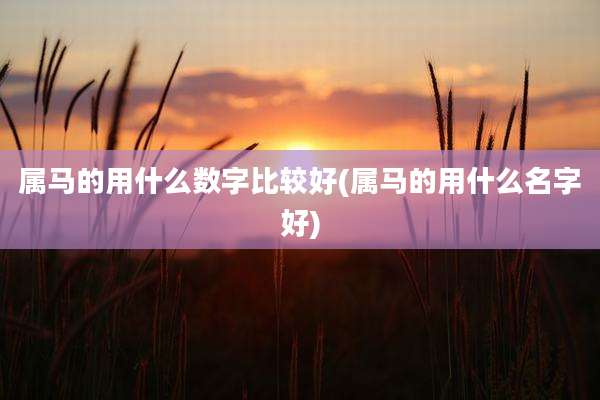 属马的用什么数字比较好(属马的用什么名字好)