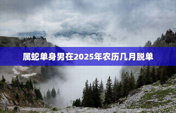 属蛇单身男在2025年农历几月脱单