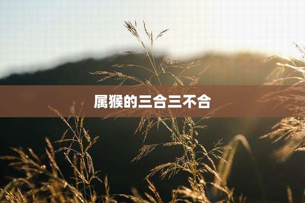 属猴的三合三不合