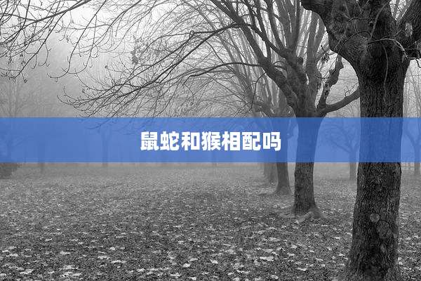 鼠蛇和猴相配吗