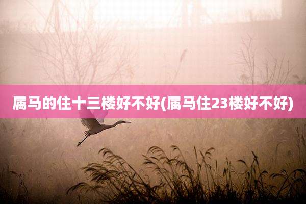 属马的住十三楼好不好(属马住23楼好不好)