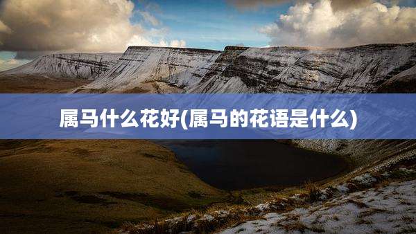 属马什么花好(属马的花语是什么)