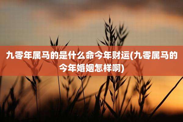 九零年属马的是什么命今年财运(九零属马的今年婚姻怎样啊)