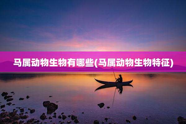 马属动物生物有哪些(马属动物生物特征)