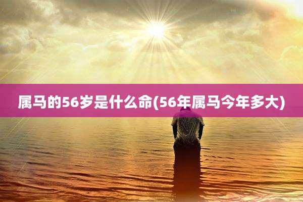 属马的56岁是什么命(56年属马今年多大)
