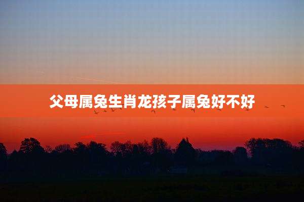 父母属兔生肖龙孩子属兔好不好