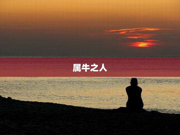 属牛之人