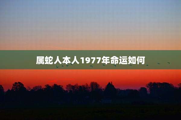 属蛇人本人1977年命运如何