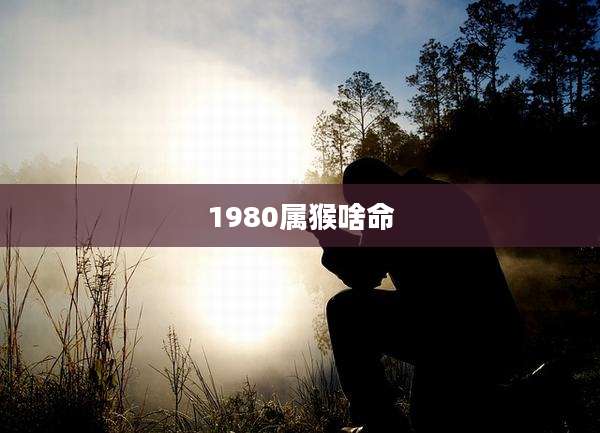1980属猴啥命