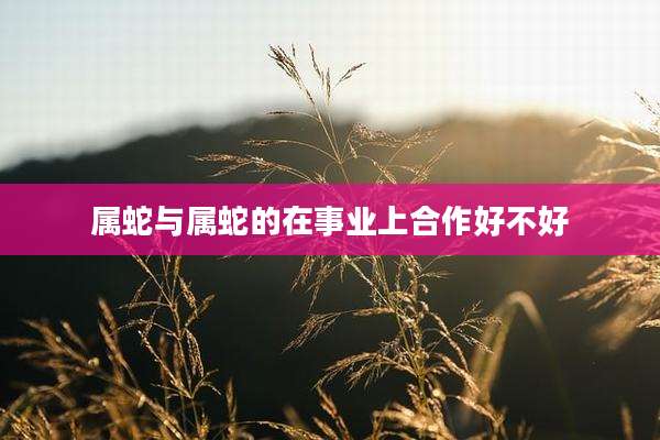 属蛇与属蛇的在事业上合作好不好