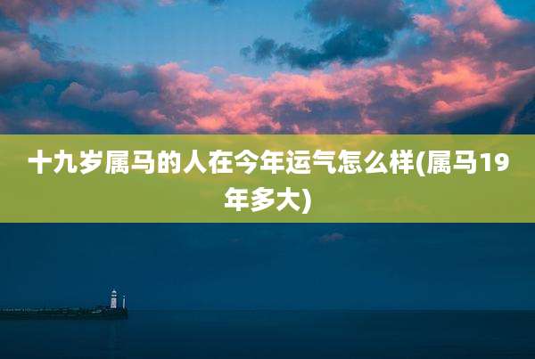 十九岁属马的人在今年运气怎么样(属马19年多大)