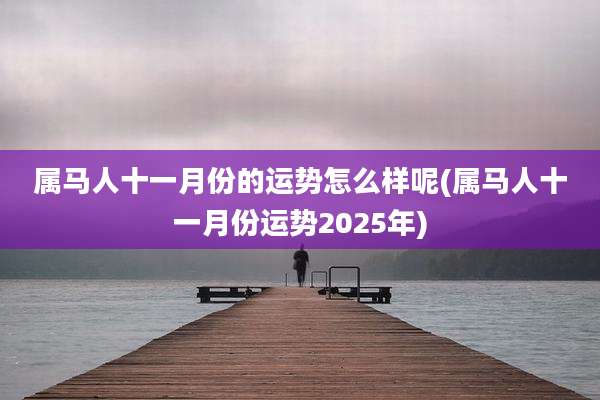 属马人十一月份的运势怎么样呢(属马人十一月份运势2025年)