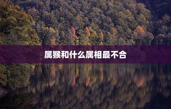 属猴和什么属相最不合