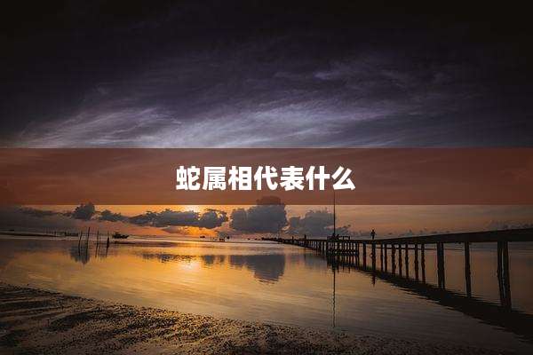 蛇属相代表什么